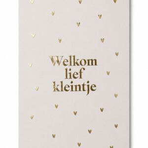 Kaartje 'Welkom lief kleintje'.